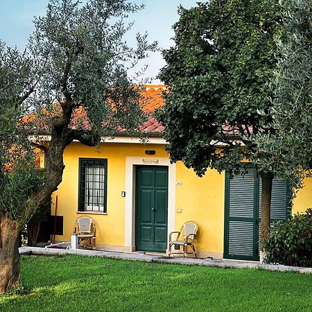 La Vista Agriturismo Boutique Ariccia Exteriér fotografie