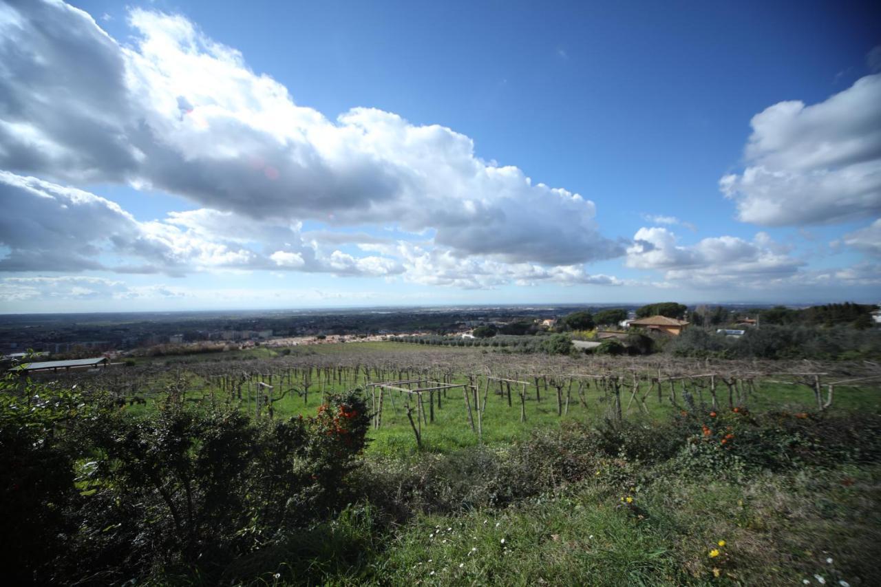 La Vista Agriturismo Boutique Ariccia Exteriér fotografie