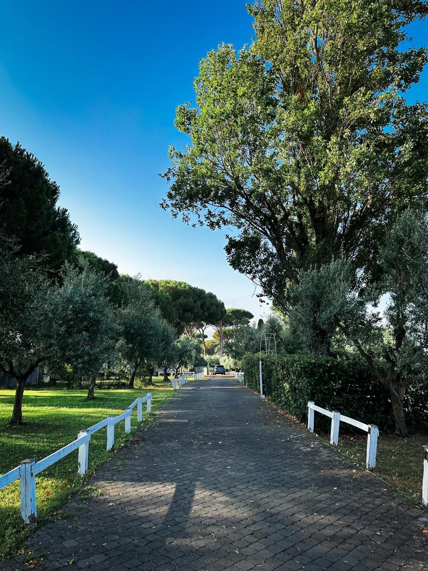 La Vista Agriturismo Boutique Ariccia Exteriér fotografie